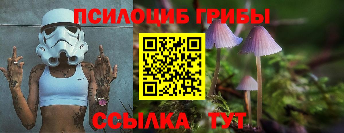 Галлюциногенные грибы Psilocybe  Вход с VPN  Чусовой 